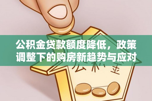 黑河公积金贷款额度降低，政策调整下的购房新趋势与应对策略
