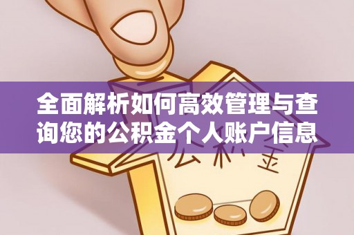 黑河全面解析如何高效管理与查询您的公积金个人账户信息